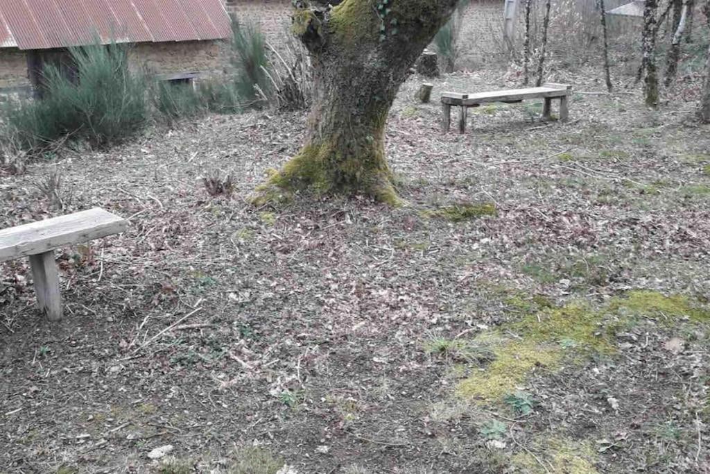 Gite Maison Du Trottoir, Sussac Exterior foto